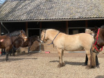 Masterson cursus door Masja Fick complete rust in de groep